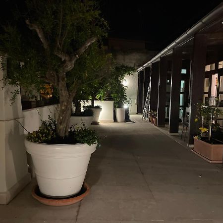 #Soloperte B&B Apartments Molfetta Eksteriør bilde