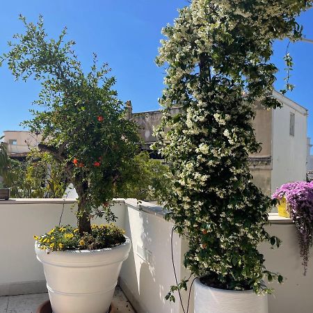 #Soloperte B&B Apartments Molfetta Eksteriør bilde