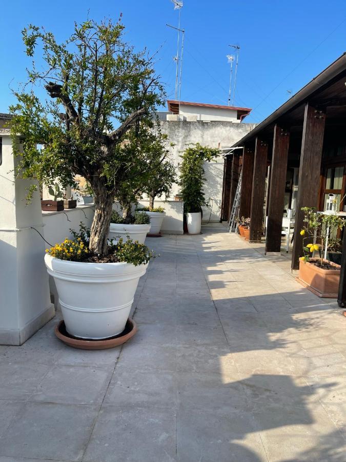 #Soloperte B&B Apartments Molfetta Eksteriør bilde