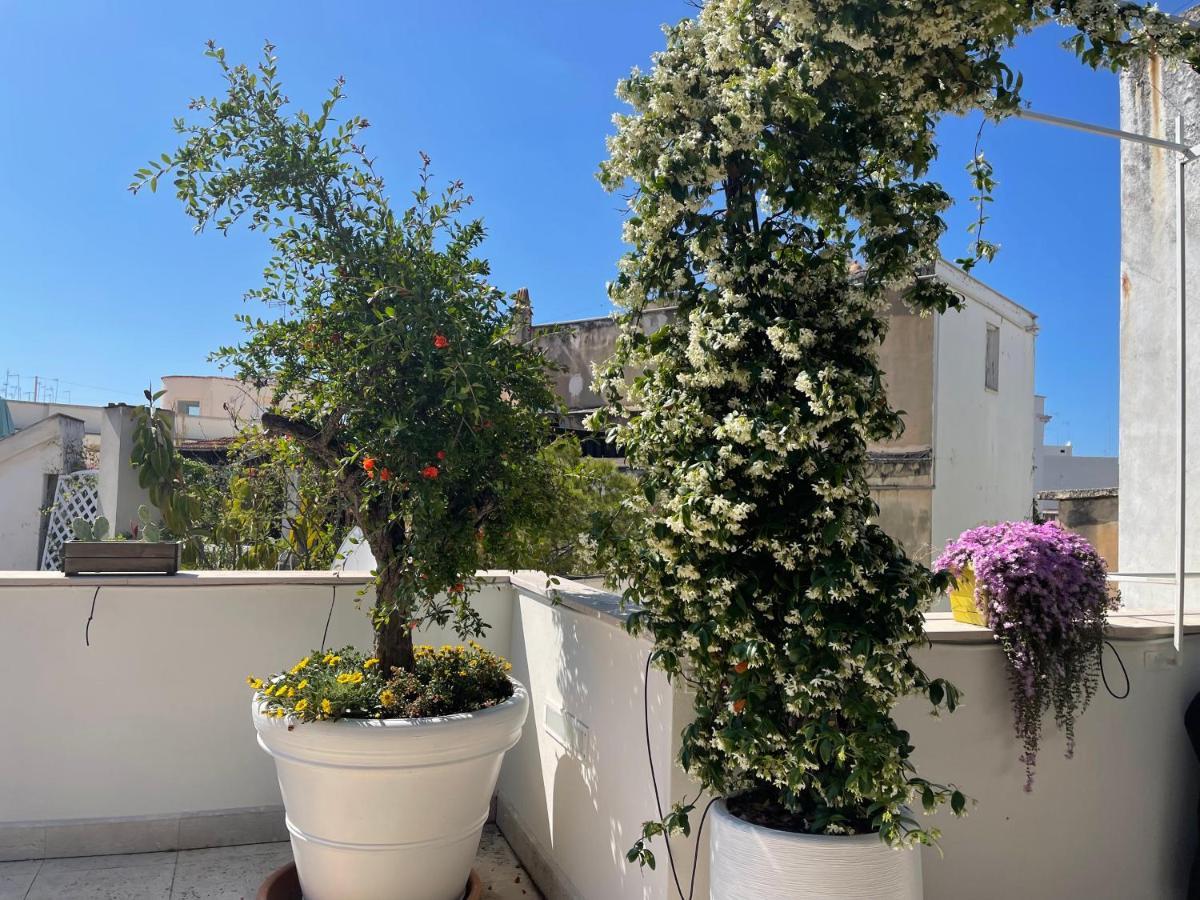 #Soloperte B&B Apartments Molfetta Eksteriør bilde